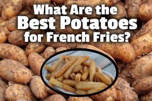 What Are the Best Potatoes for French Fries?