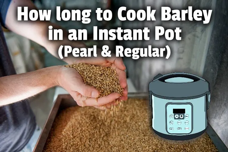 Instant Pot barley lg